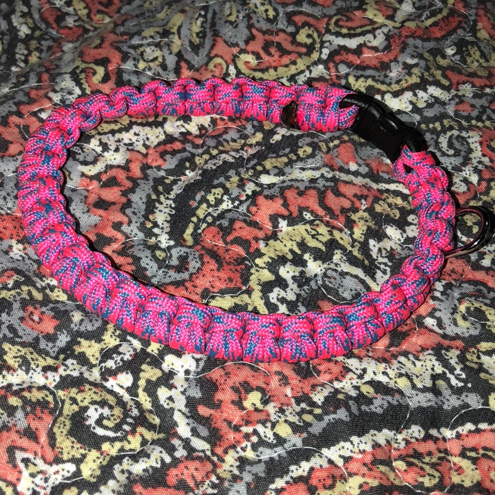 cat or dog collar